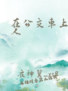 在公交车上操女人