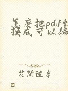 怎么把pdf转换成可以编辑的文本