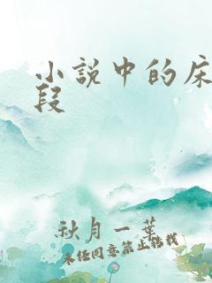 小说中的床戏片段