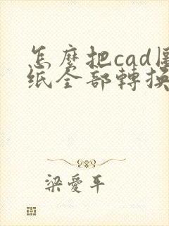 怎么把cad图纸全部转换成pdf