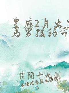 农历2月出生的马男孩的命运