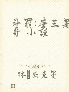 斗罗:唐三是我哥 小说