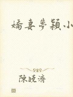 娇妻梦颖小说