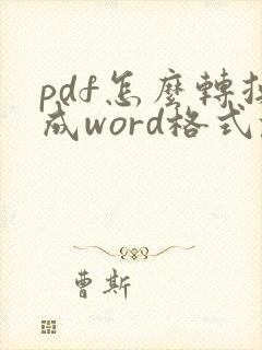 pdf怎么转换成word格式乱怎么办