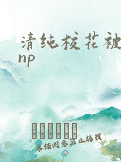 清纯校花被辣文np