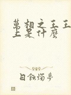 万相之王王境之上是什么