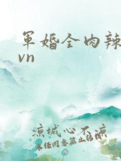 军婚全肉辣文1vn