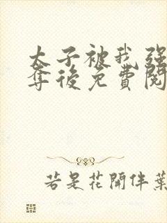 太子被我强取豪夺后免费阅读