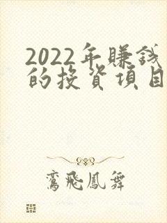 2022年赚钱的投资项目
