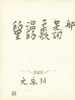 的温柔是哪首歌里的歌词