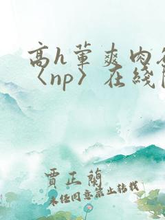高h荤爽肉欲文〈np〉在线阅读