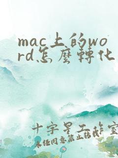 mac上的word怎么转化成pdf