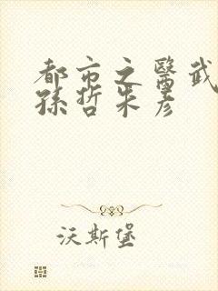 都市之医武风流孙哲朱彦