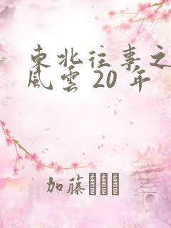 东北往事之黑道风云 20 年