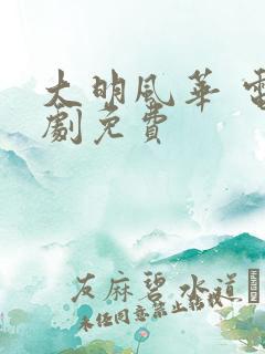 大明风华 电视剧免费