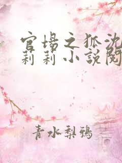 官场之狐沈荡王莉莉小说阅读