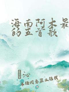 海南阿木最好听的五首歌