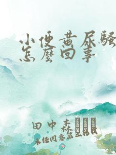 小便黄尿骚味重怎么回事