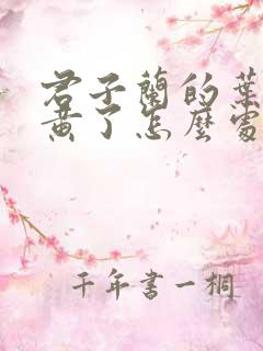 君子兰的叶子发黄了怎么处理方法