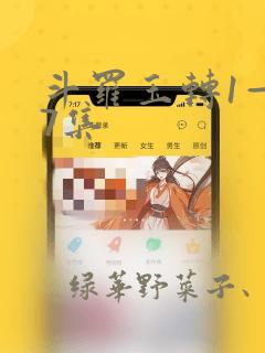 斗罗玉转1—37集