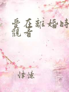 爱在离婚时免费观看
