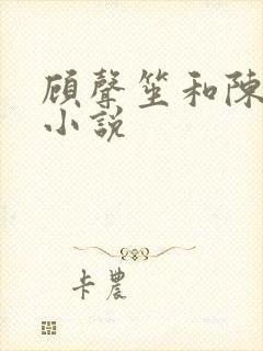 顾声笙和陈最的小说