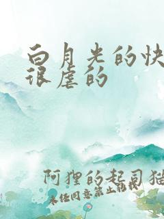 白月光的快穿文很虐的