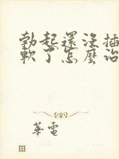 勃起还没插入就软了怎么治疗