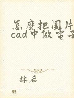 怎么把图片导入cad中做电子签名