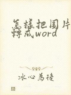 怎样把图片表格转成word