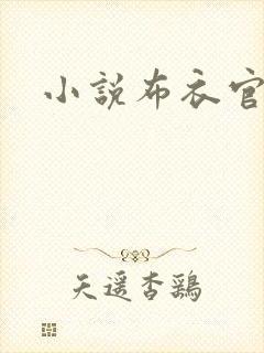 小说布衣官道