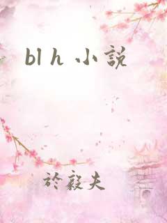 bl h 小说