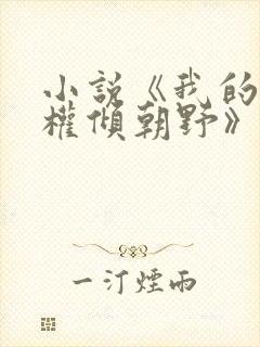 小说《我的夫君权倾朝野》