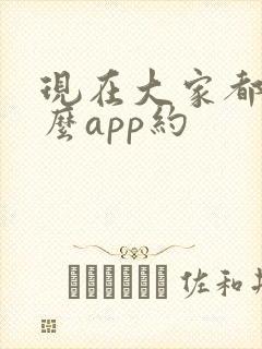 现在大家都用什么app约