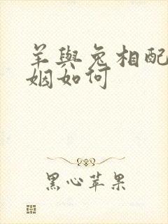 羊与兔相配的婚姻如何