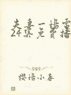 夫妻一场电视剧24集免费播放