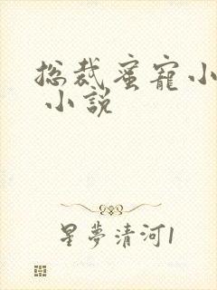 总裁蜜宠小甜妻 小说