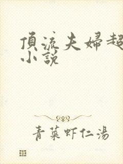 顶流夫妇超甜的小说
