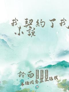 我契约了我自己 小说