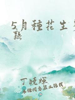 5月种花生多久熟