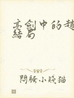 亮剑中的赵刚的结局
