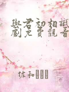 与君初相识电视剧免费观看完整