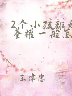 2个小孩离婚抚养权一般怎么判