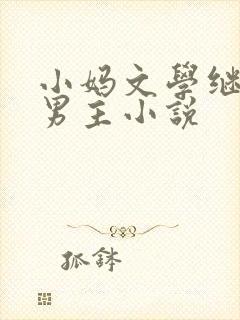 小妈文学继子双男主小说