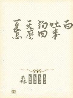 夏天狗吐白沫是怎么回事