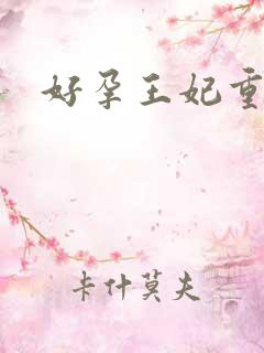好孕王妃重生记