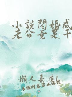 小说闪婚成宠,老公竟是千亿大佬