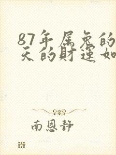 87年属兔的今天的财运如何