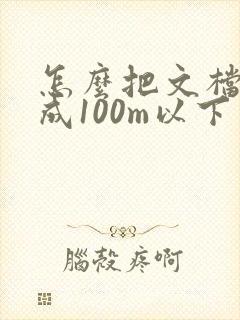 怎么把文档压缩成100m以下