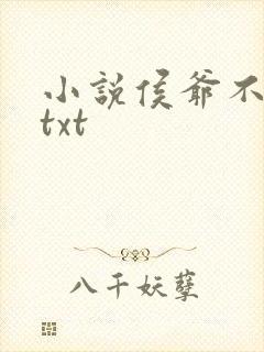 小说侯爷不好撩txt